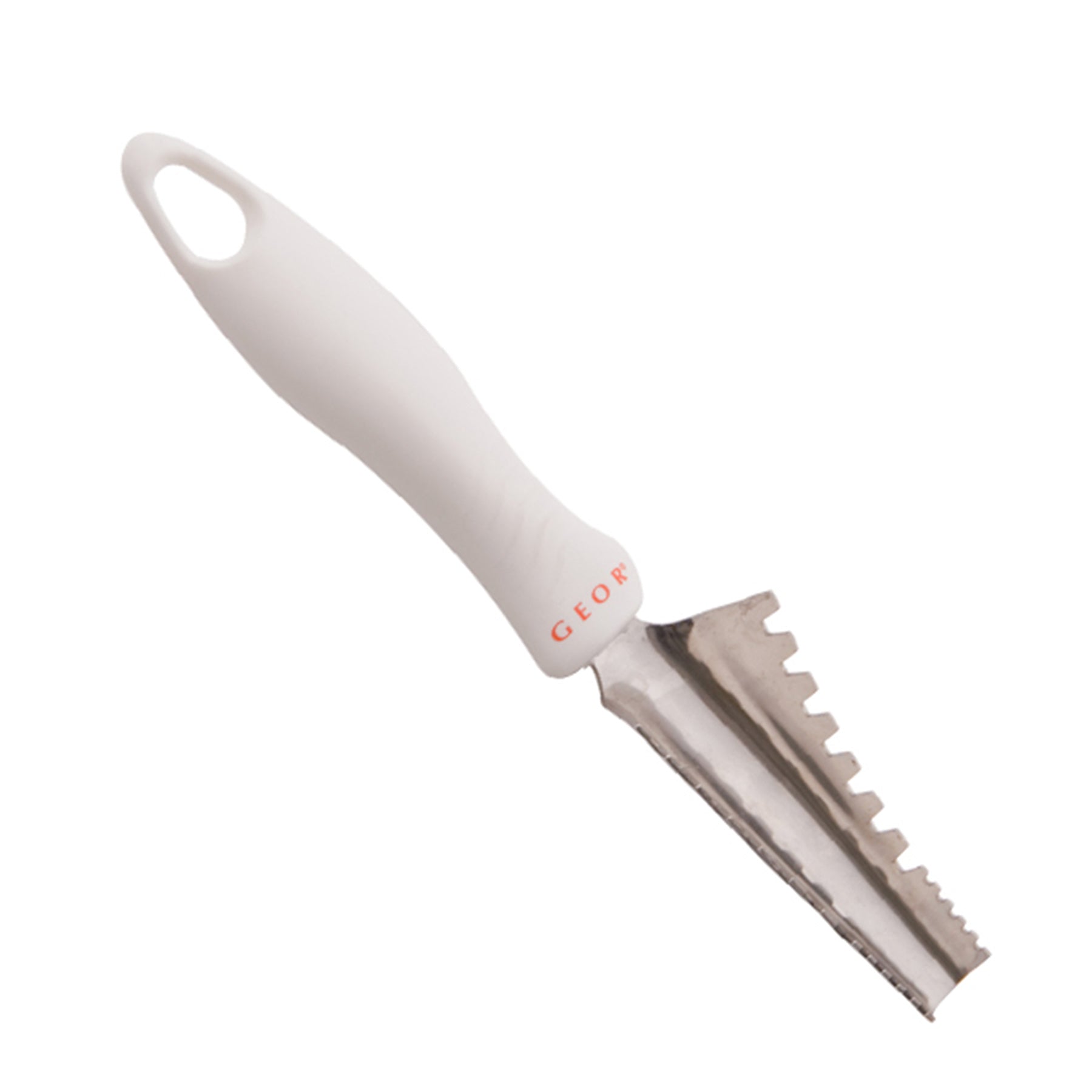 Fish Scaler - WhiteA high quality fish scaler.