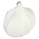 Garlic Keeper plastic Garlic Keeper