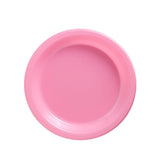 20pcs Small Plastic Plates Set - Pink