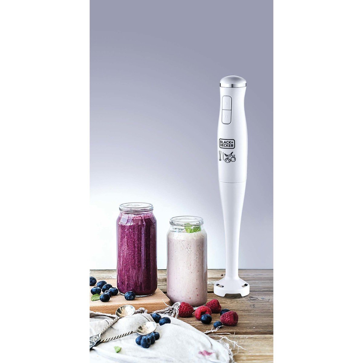 Hand blender 2 speed - 300W