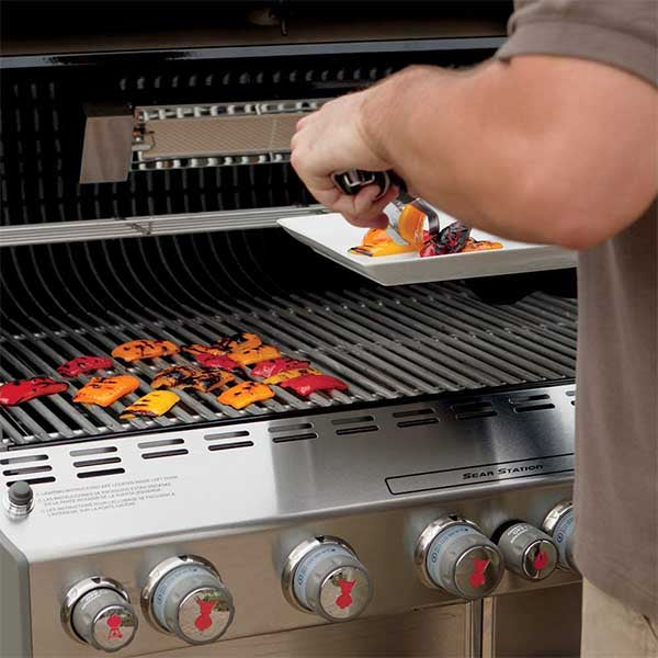 weber SummitÂ® S-670 Gas Grill - Silver