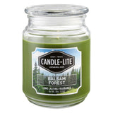 Candle with Fragrance - Balsam Forest