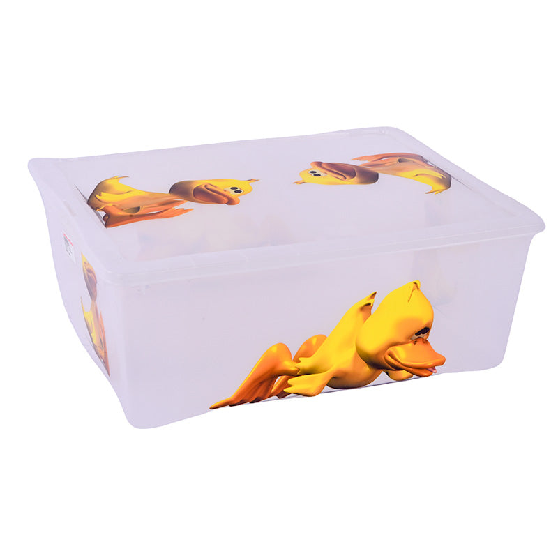 Duck storage box with lid